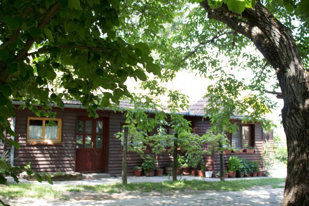 Holiday Home Melinda Ceglédpuszta المظهر الخارجي الصورة