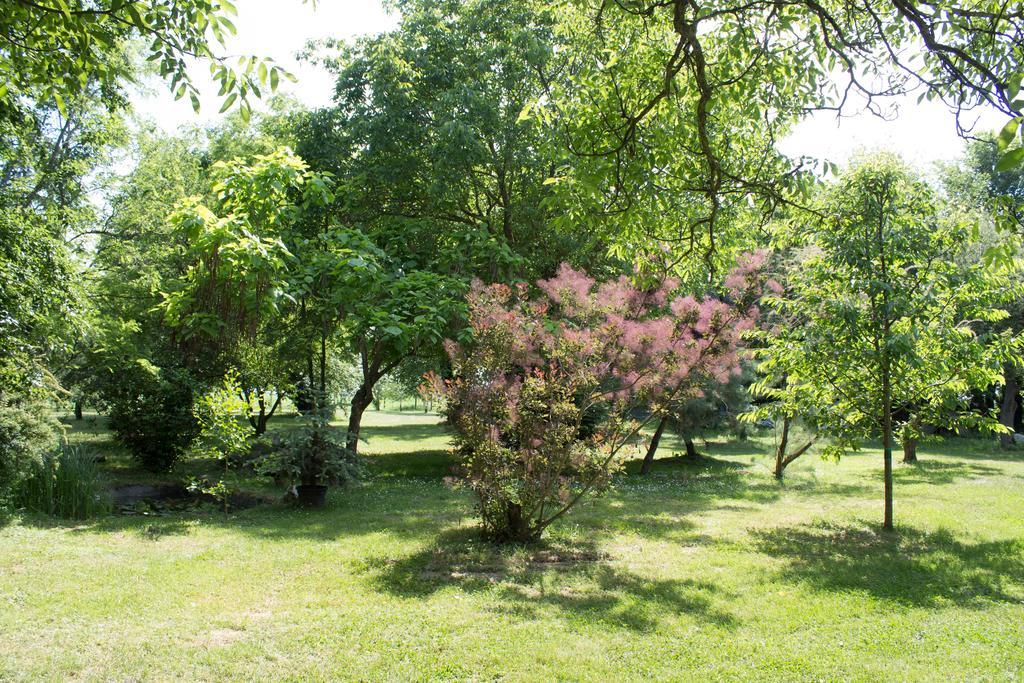 Holiday Home Melinda Ceglédpuszta المظهر الخارجي الصورة